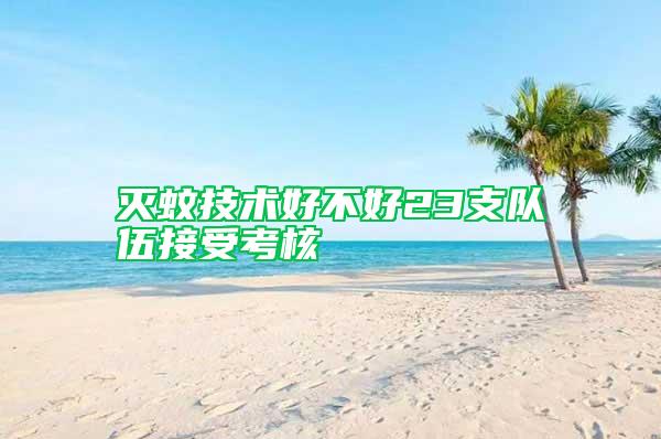 滅蚊技術(shù)好不好23支隊伍接受考核