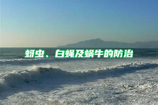 蚜蟲、白蠅及蝸牛的防治