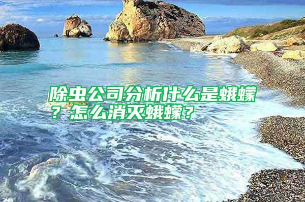 除蟲公司分析什么是蛾蠓？怎么消滅蛾蠓？