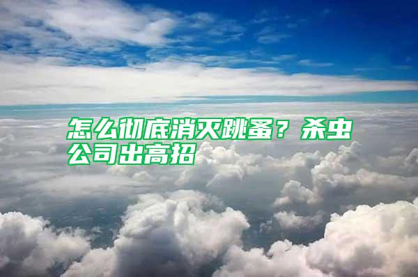 怎么徹底消滅跳蚤？殺蟲公司出高招