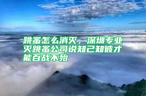 跳蚤怎么消滅，深圳專業滅跳蚤公司說知己知彼才能百戰不殆