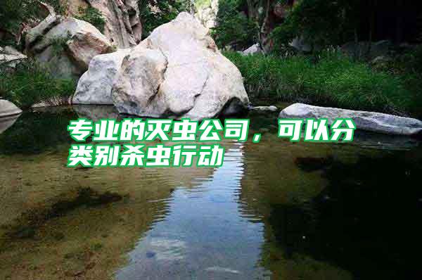 專業(yè)的滅蟲公司，可以分類別殺蟲行動