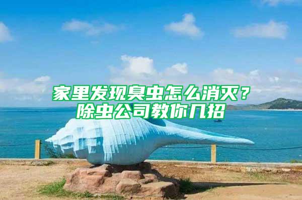 家里發(fā)現(xiàn)臭蟲怎么消滅？除蟲公司教你幾招