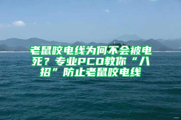 老鼠咬電線為何不會被電死？專業(yè)PCO教你“八招”防止老鼠咬電線