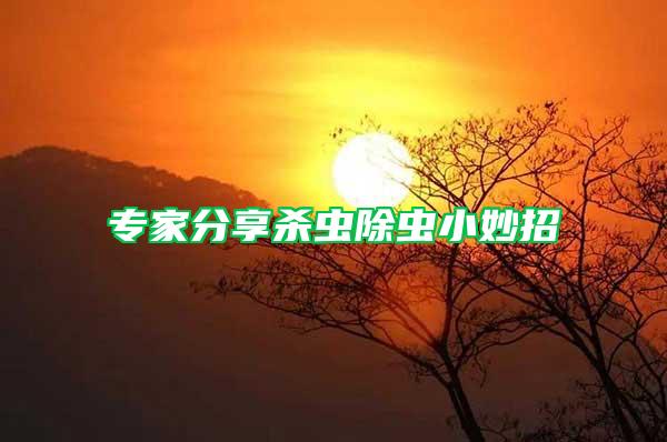 專(zhuān)家分享殺蟲(chóng)除蟲(chóng)小妙招
