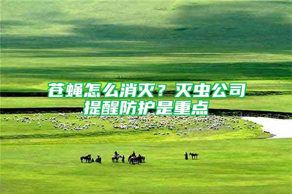 蒼蠅怎么消滅？滅蟲公司提醒防護(hù)是重點(diǎn)