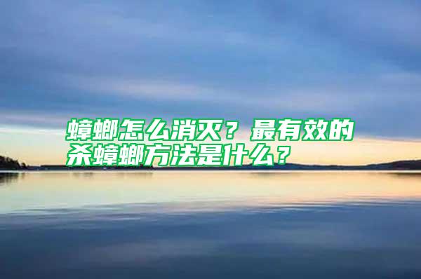 蟑螂怎么消滅？最有效的殺蟑螂方法是什么？