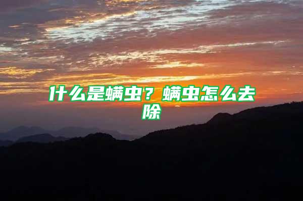 什么是螨蟲？螨蟲怎么去除
