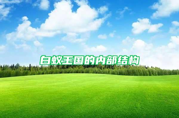 白蟻王國(guó)的內(nèi)部結(jié)構(gòu)