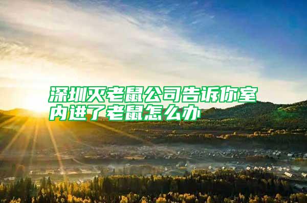 深圳滅老鼠公司告訴你室內(nèi)進(jìn)了老鼠怎么辦