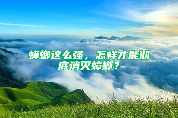 蟑螂這么強(qiáng)，怎樣才能徹底消滅蟑螂？