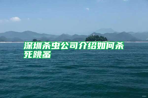 深圳殺蟲(chóng)公司介紹如何殺死跳蚤