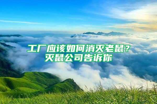 工廠應該如何消滅老鼠？滅鼠公司告訴你