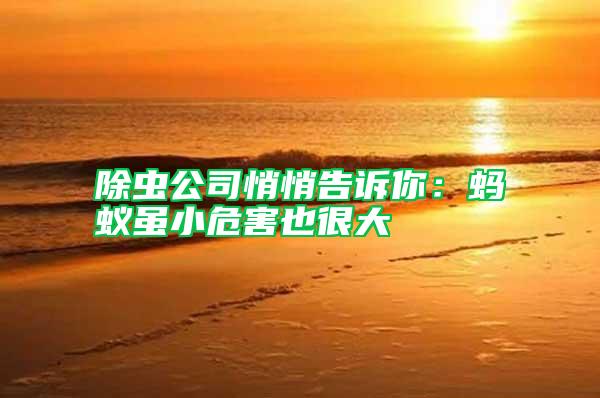 除蟲(chóng)公司悄悄告訴你：螞蟻雖小危害也很大