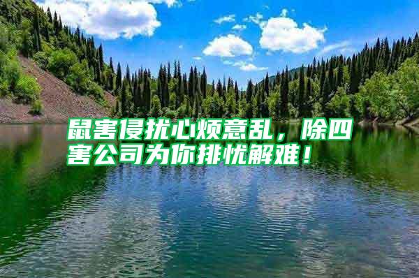 鼠害侵擾心煩意亂，除四害公司為你排憂解難！