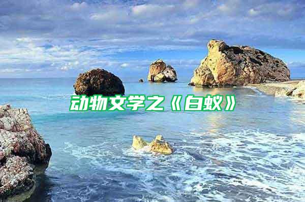 動(dòng)物文學(xué)之《白蟻》