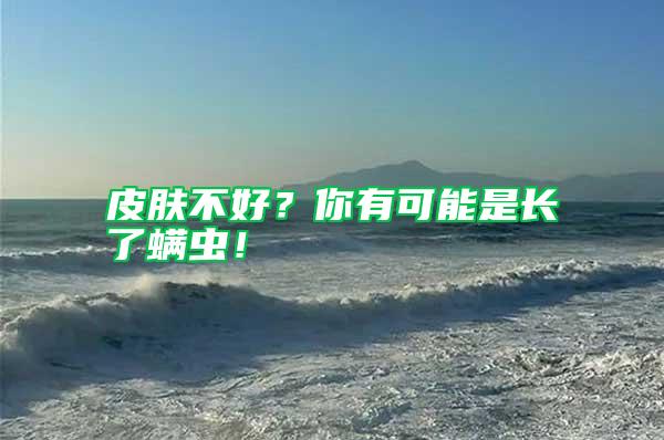 皮膚不好？你有可能是長了螨蟲！