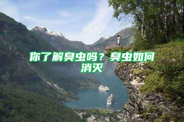 你了解臭蟲(chóng)嗎？臭蟲(chóng)如何消滅
