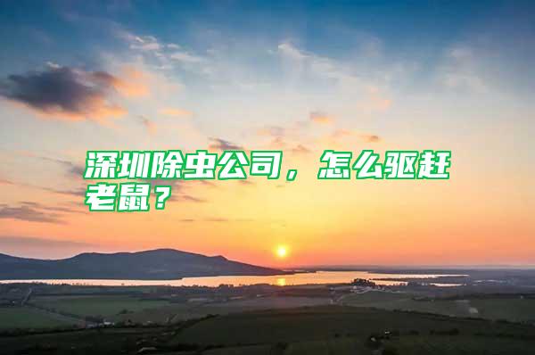 深圳除蟲公司，怎么驅(qū)趕老鼠？