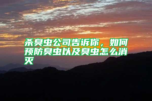 殺臭蟲(chóng)公司告訴你，如何預(yù)防臭蟲(chóng)以及臭蟲(chóng)怎么消滅