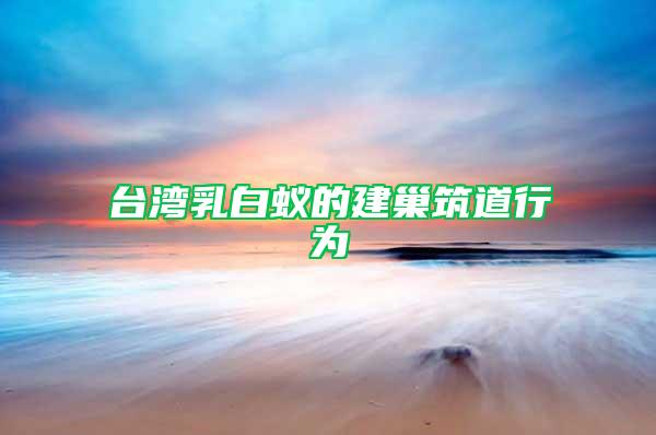 臺(tái)灣乳白蟻的建巢筑道行為