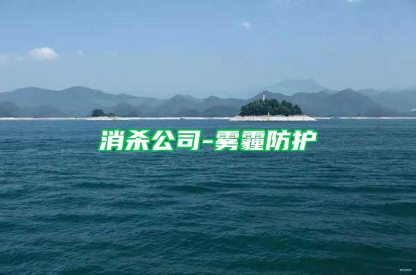消殺公司-霧霾防護(hù)