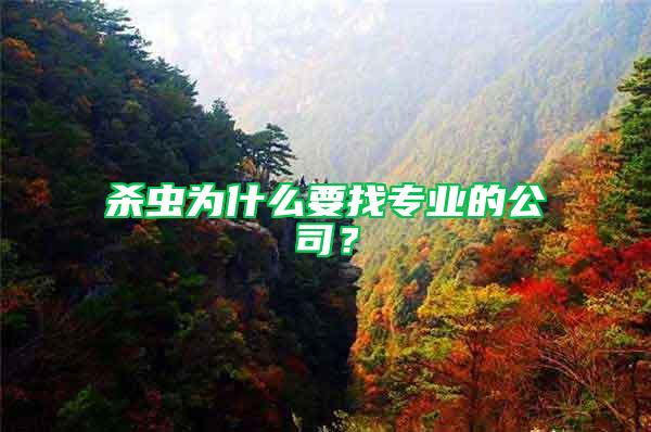 殺蟲(chóng)為什么要找專(zhuān)業(yè)的公司？