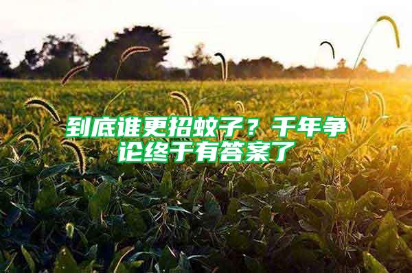 到底誰(shuí)更招蚊子？千年?duì)幷摻K于有答案了