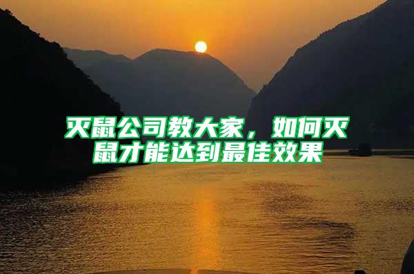滅鼠公司教大家，如何滅鼠才能達到最佳效果