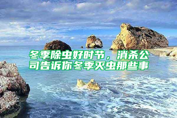 冬季除蟲(chóng)好時(shí)節(jié)，消殺公司告訴你冬季滅蟲(chóng)那些事