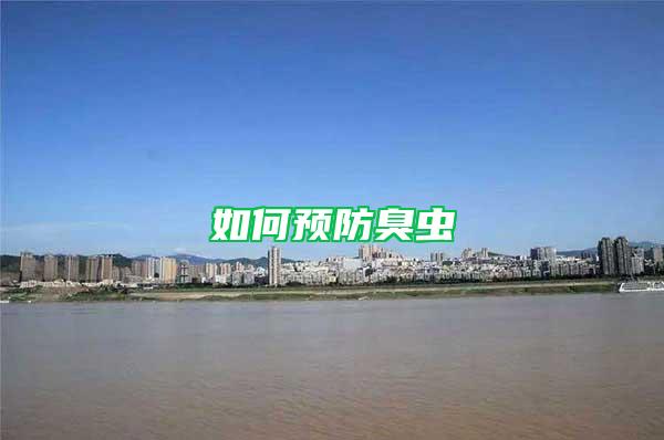 如何預(yù)防臭蟲