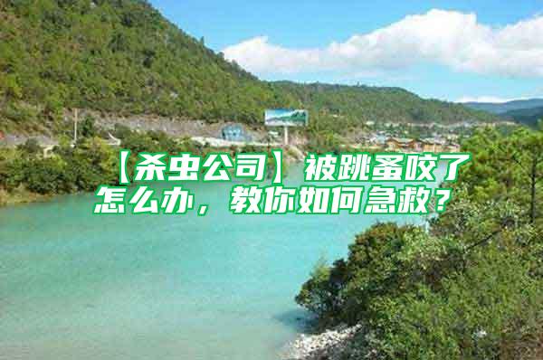 【殺蟲公司】被跳蚤咬了怎么辦，教你如何急救？