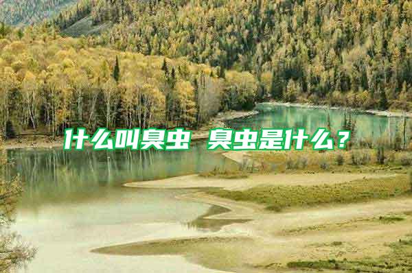 什么叫臭蟲 臭蟲是什么？