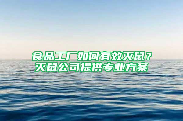 食品工廠如何有效滅鼠？滅鼠公司提供專業方案