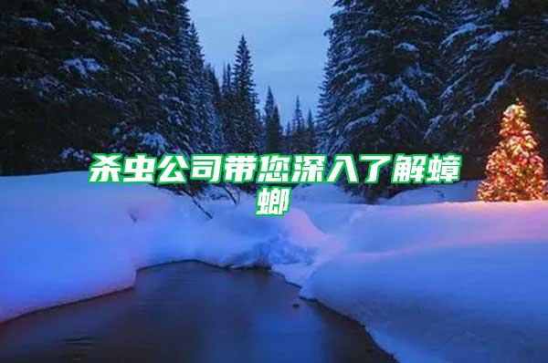 殺蟲(chóng)公司帶您深入了解蟑螂