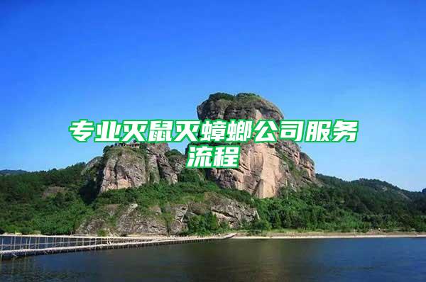 專業(yè)滅鼠滅蟑螂公司服務流程