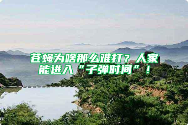 蒼蠅為啥那么難打？人家能進入“子彈時間”！