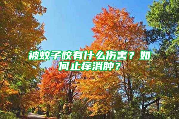 被蚊子咬有什么傷害？如何止癢消腫？
