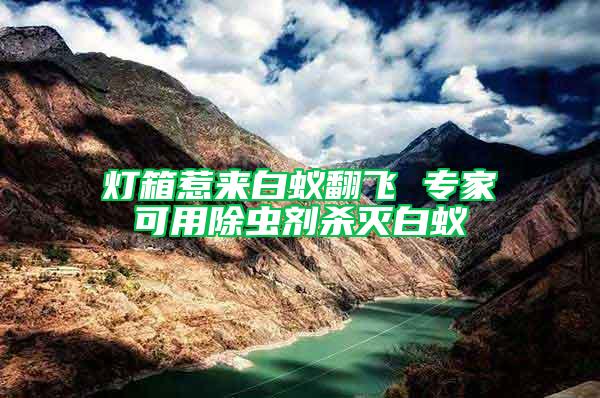 燈箱惹來(lái)白蟻翻飛 專(zhuān)家可用除蟲(chóng)劑殺滅白蟻
