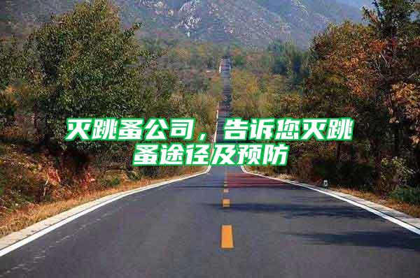滅跳蚤公司，告訴您滅跳蚤途徑及預(yù)防