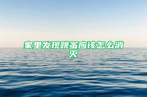 家里發(fā)現(xiàn)跳蚤應該怎么消滅