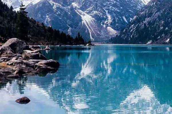 該不該用吸塵器治理臭蟲,這是一個問題!