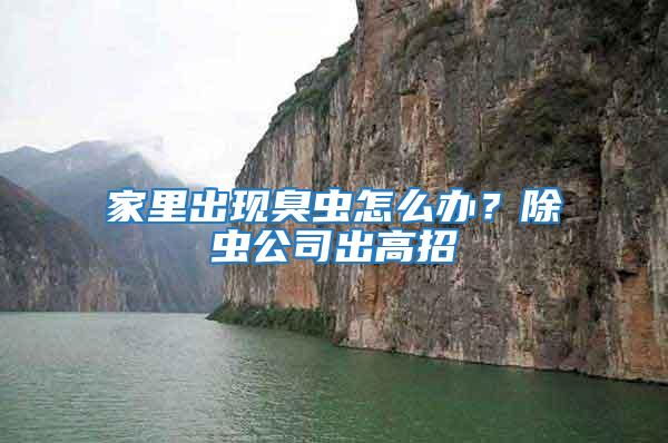 家里出現(xiàn)臭蟲怎么辦？除蟲公司出高招