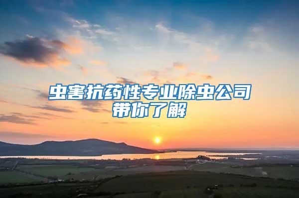 蟲害抗藥性專業除蟲公司帶你了解