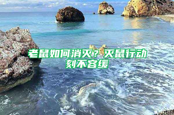 老鼠如何消滅？滅鼠行動(dòng)刻不容緩