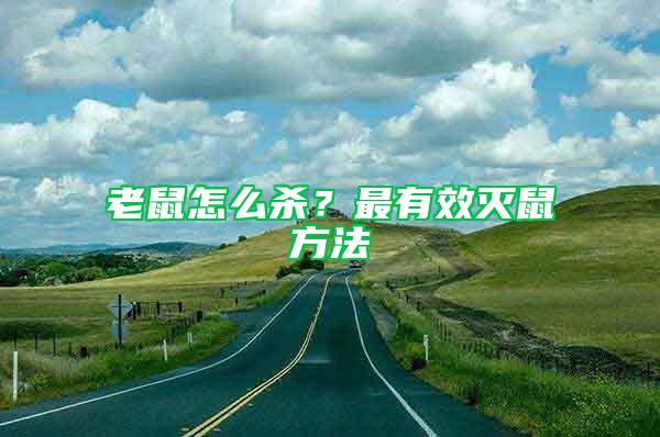 老鼠怎么殺？最有效滅鼠方法