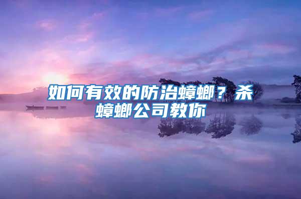 如何有效的防治蟑螂？殺蟑螂公司教你