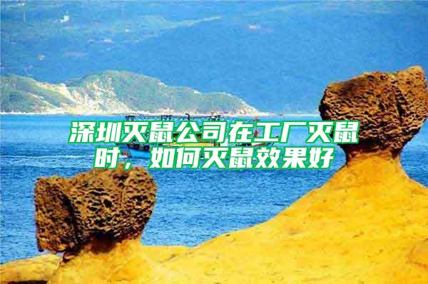 深圳滅鼠公司在工廠滅鼠時(shí)，如何滅鼠效果好