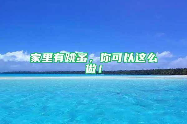 家里有跳蚤，你可以這么做！