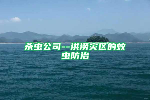 殺蟲(chóng)公司--洪澇災(zāi)區(qū)的蚊蟲(chóng)防治